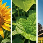 Home 5 라오스 정치 구조 - Here are three detailed image prompts in English, adhering to your guidelines: